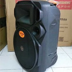 Loa kéo Sansui A15-66, loa karaoke 2 đường tiếng, max 350W