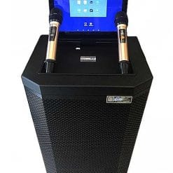 Loa kéo SANSUI SA2-15, loa có màn hình 12 inch