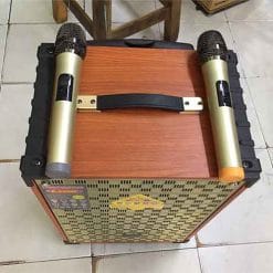 Loa kéo Sansui SG2-19, loa karaoke bass 3 tấc, kèm 2 mic