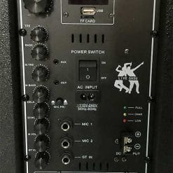 Loa kéo Temeisheng A166-15, loa vỏ gỗ, công suất đỉnh 500W