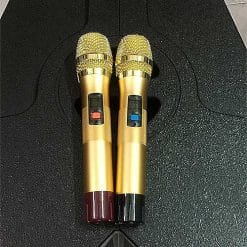 Loa kéo Temeisheng A166-15, loa vỏ gỗ, công suất đỉnh 500W