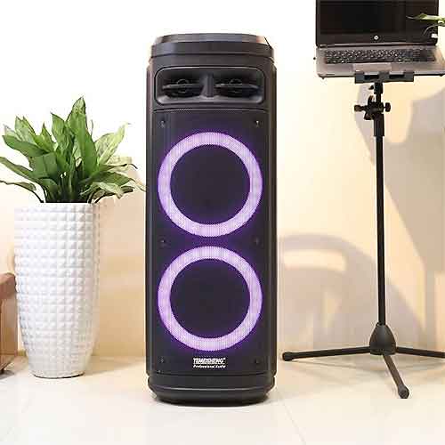 Loa kéo Temeisheng A210-06, loa karaoke 2 bass, có đèn led