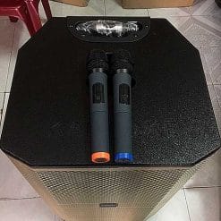 Loa kéo Temeisheng ED-1506, loa di động công karaoke suất lớn