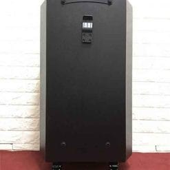 Loa kéo Temeisheng ED-1517, loa hát karaoke giải trí