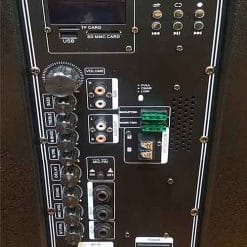 Loa kéo Temeisheng ED-1525, loa karaoke chính hãng cao cấp