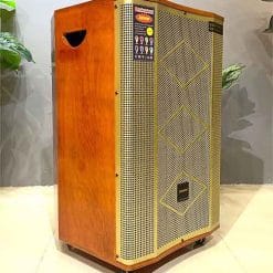 Loa kéo Temeisheng ED151-15, loa karaoke vỏ gỗ, bass 4 tấc