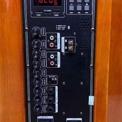 Loa kéo Temeisheng ED151-15, loa karaoke vỏ gỗ, bass 4 tấc