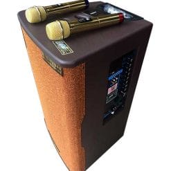 Loa kéo di động Temeisheng GD15-02A, loa thùng gỗ hát karaoke