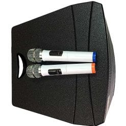 Loa kéo Temeisheng GD15-24,công suất đỉnh 600W