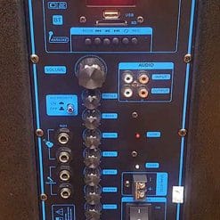 Loa kéo Temeisheng GD15-60, loa karaoke vỏ gỗ, max 600W