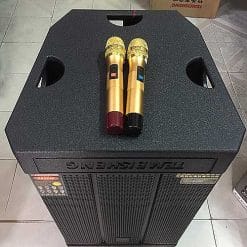 Loa kéo Temeisheng GD159, loa karaoke 4.5 tấc, thùng gỗ dày