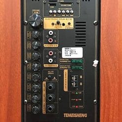 Loa kéo Temeisheng QX-153, loa karaoke có trống điện tử