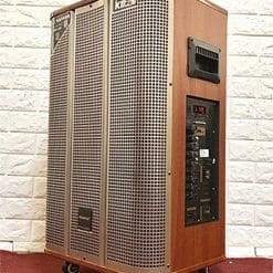 Loa kéo Temeisheng QX-153, loa karaoke có trống điện tử