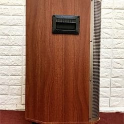 Loa kéo Temeisheng QX-153, loa karaoke có trống điện tử