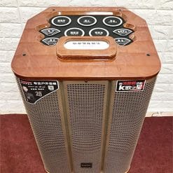 Loa kéo Temeisheng QX-153, loa karaoke có trống điện tử