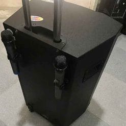 Loa kéo Temeisheng QX15-09, loa karaoke thùng gỗ, max 500W