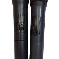 Loa kéo Temeisheng SL18-02, loa karaoke 5 tấc