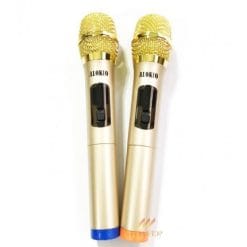 Micro Karaoke Alokio Wml V111540525782012 390