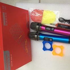 Micro không dây Lida Gsheng LD-916B, hàng nhập khẩu