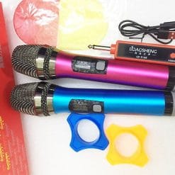 Micro không dây Lida Gsheng LD-916B, hàng nhập khẩu