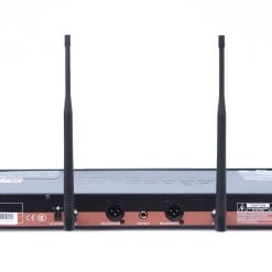 Micro DBacoustic 350 Plus 2